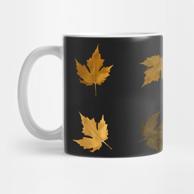 Autumn Maple Leaf Sticker Pack 4 Leafs by ZOTAPHOTOSTUDIO